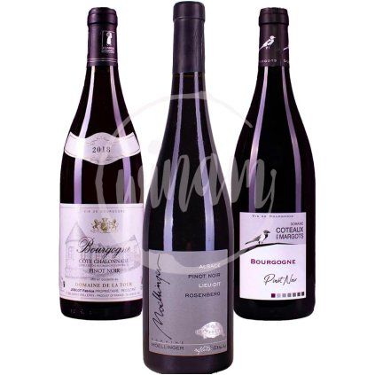 Trio Pinot Noir z Francie