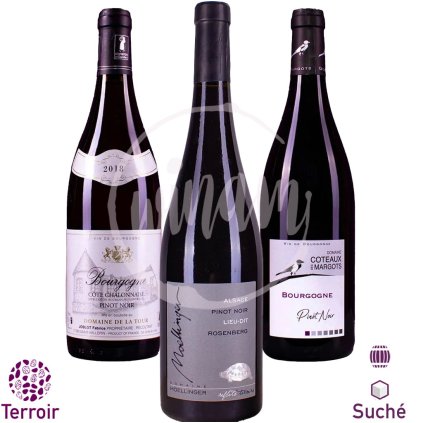 Pinot Noir Trio terroirů