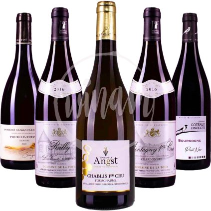 Dada burgundských vín