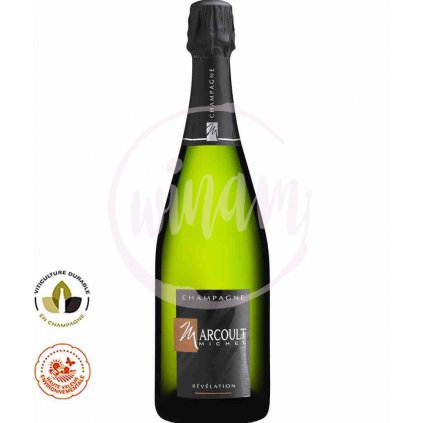 Champagne Michel Marcoult - Brut Nature Révelation, Blanc