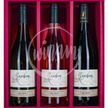 Trio Magalanne