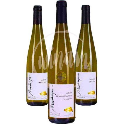 Trojice polosuchých vín z Alsaska