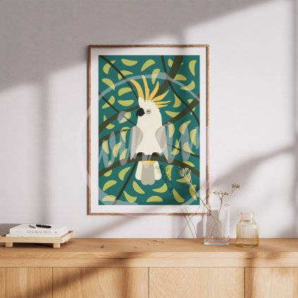 Minimalistický obrázek - Kakadu