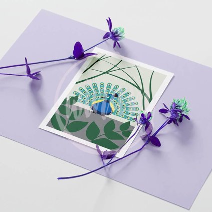 Minimalistický obrázek Páv