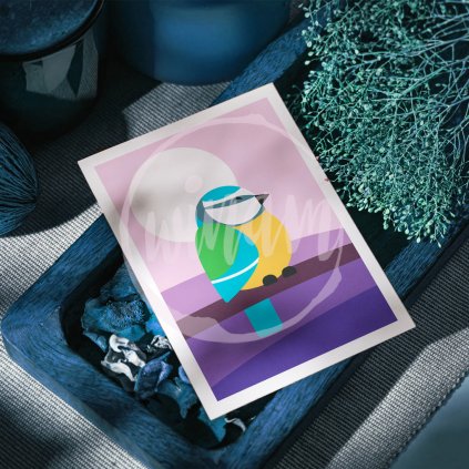 Minimalistická ilustrace - sýkora