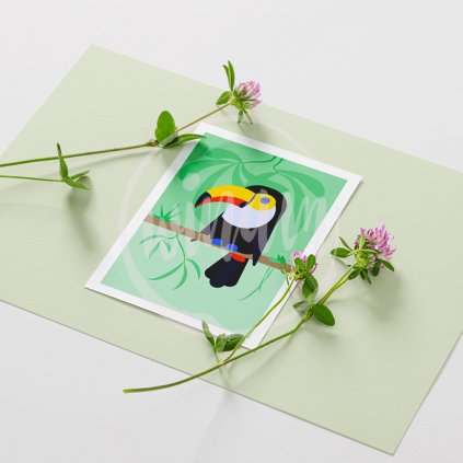 Obrázek minimalismus Tukan