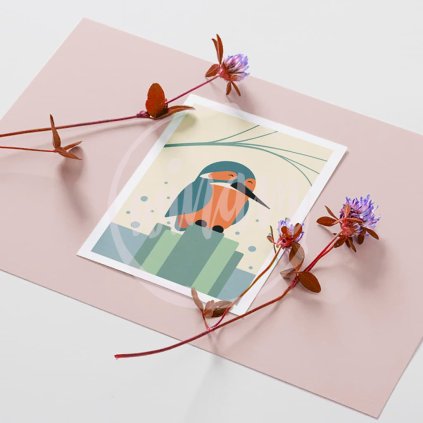 Minimalistický obrázek Ledňáček ze série Ptáčci