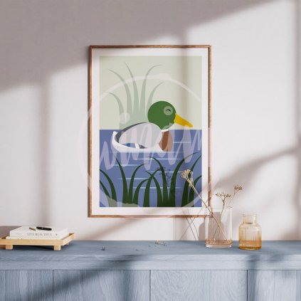 Minimalistický obrázek kachnička