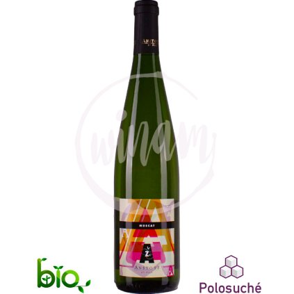 Polosuchý Muscat z Alsaska