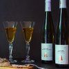 Duo alsaských Rieslingů Degustace