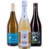 Degustační sada vín ze tří terroirů ovocná a svěží