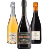 Trio luxusních barikových vín z Champagne