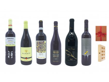 Ochutnej odrůdu Merlot 6x jinak (1)