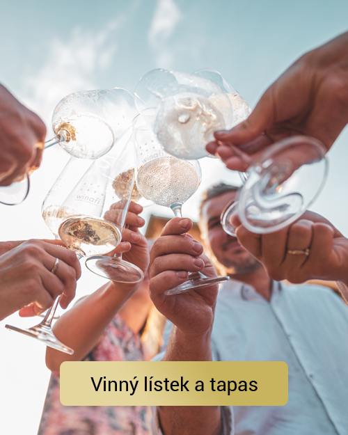 Vinný lístek a tapas list