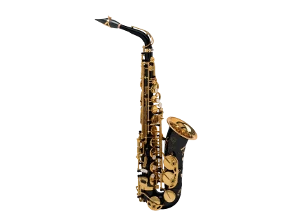 sax alto Signature recto noir ok.png