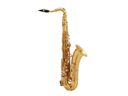 SELMER sax tenor Signature brosse brushed.png 2