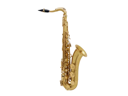 selmer format produit brosse.png