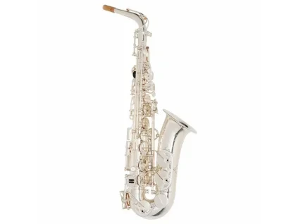 Saxofon 8.jpg