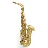 Saxofon 6.jpg
