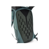 TGEN 18 8