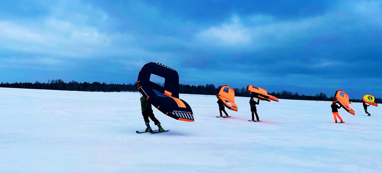 Jak vybrat wing na sníh?