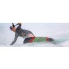 tronic ss redbull windsurfing karlin cabrinha wave surf kiteboard slide