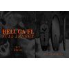 rrd beluga fl y31 black line top parawing downwindrer board 1