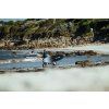 exocet rs v6 brittany flt 4673 2500px