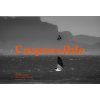 booster y31 kiteboard twin tip rrd 2