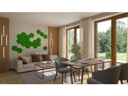 Decorative Wall Panel, Moss, Hexagon