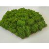Decorative Wall Panel, Moss, Hexagon