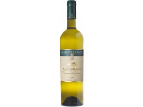 Verdicchio Salmariano