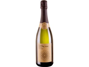 Nit del Foc Brut