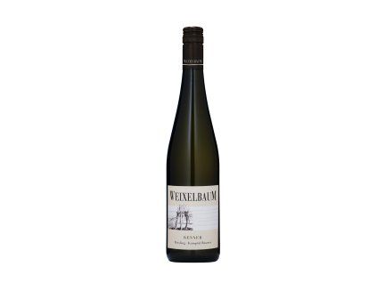 renner riesling kamptal reserve