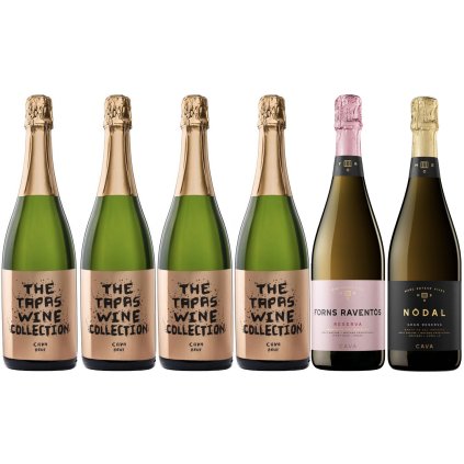 Kolekce vína - Cava: Moderní i Tradiční