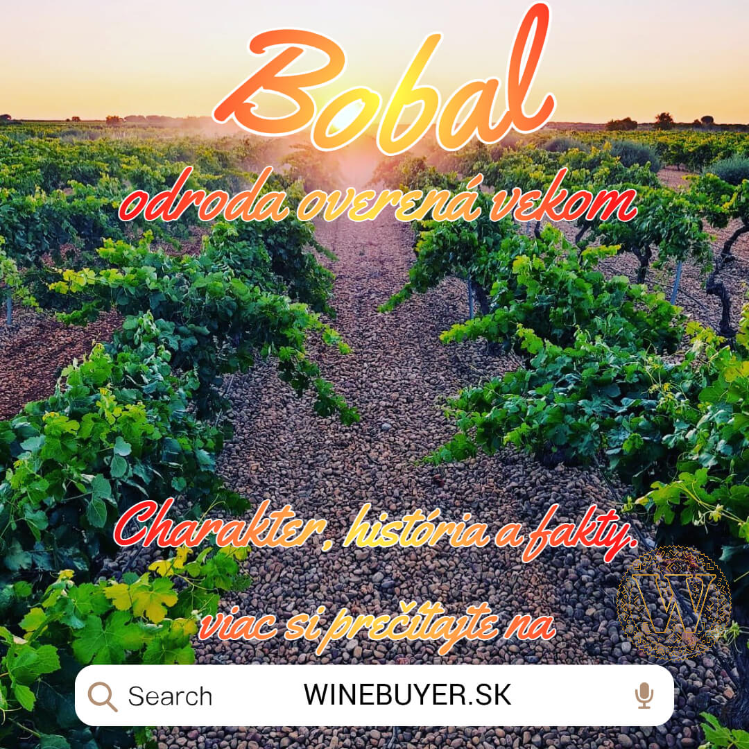 Odroda BOBAL