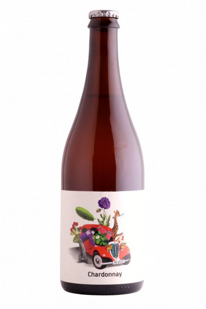 Tomáš Trejbal - Chardonnay 2022
