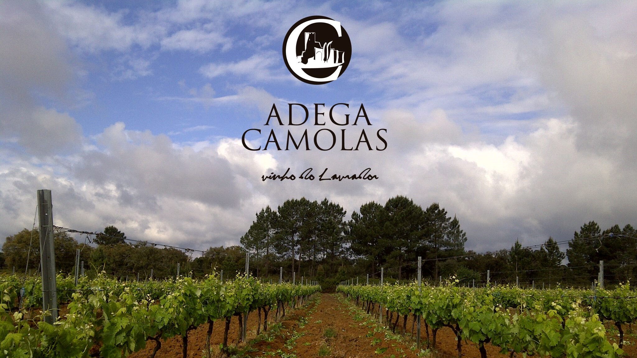 Adega Camolas