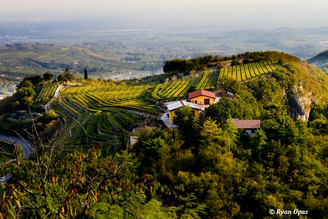 Azienda Agricola Manara