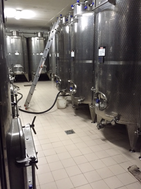 Azienda Agricola Manara