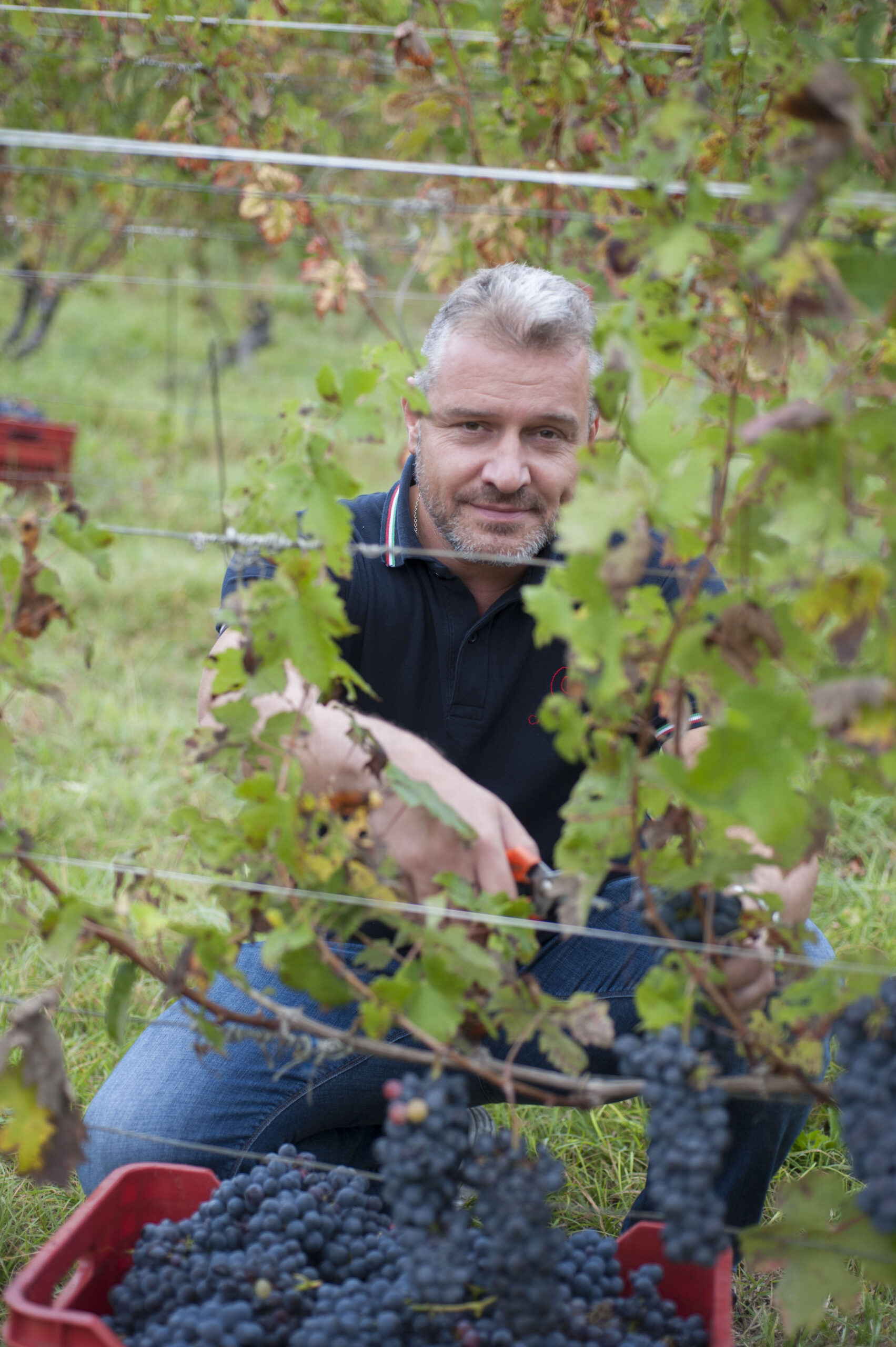 Cantine Andreas Mazzei