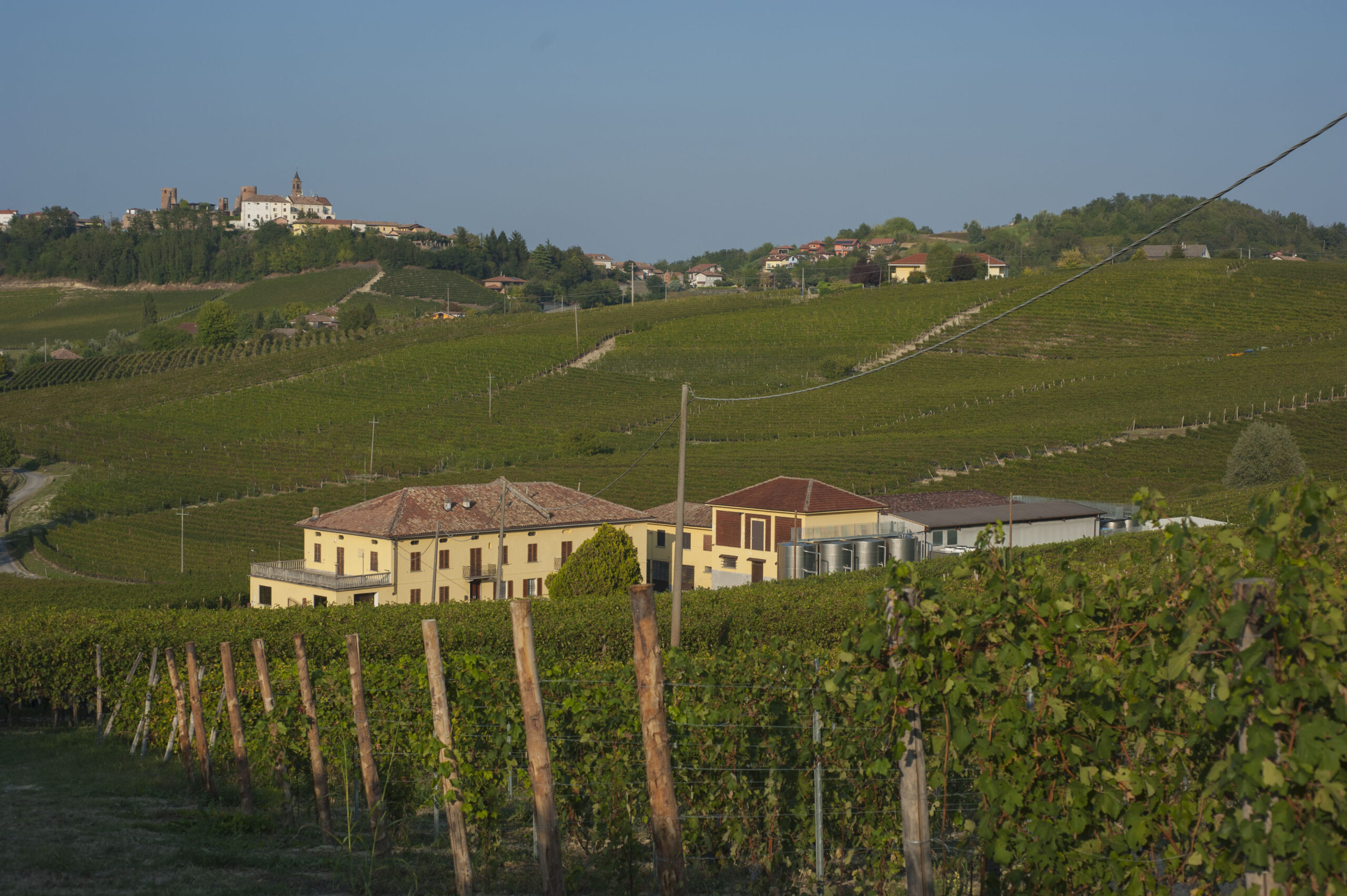Cantine Andreas Mazzei