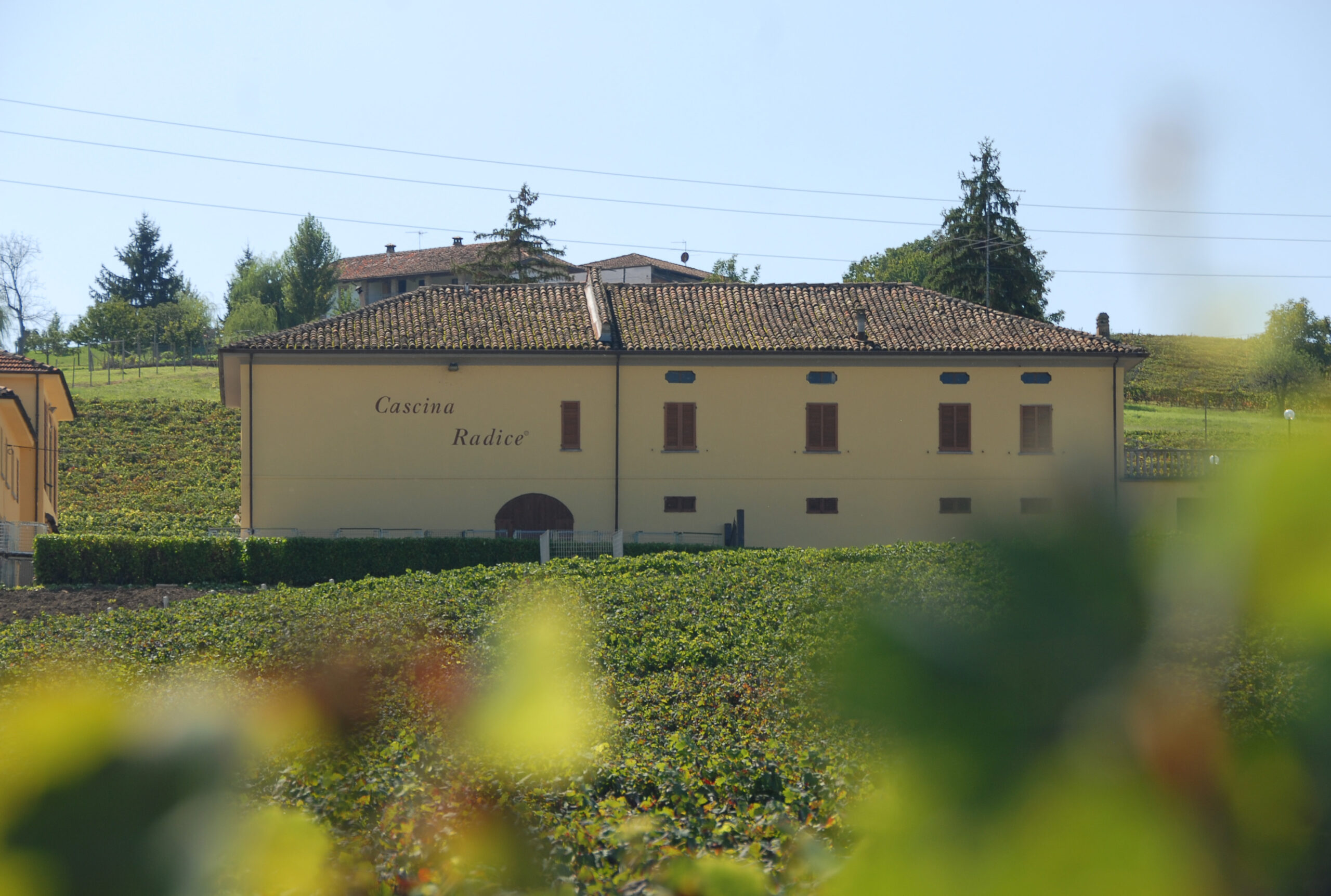 Cantine Andreas Mazzei