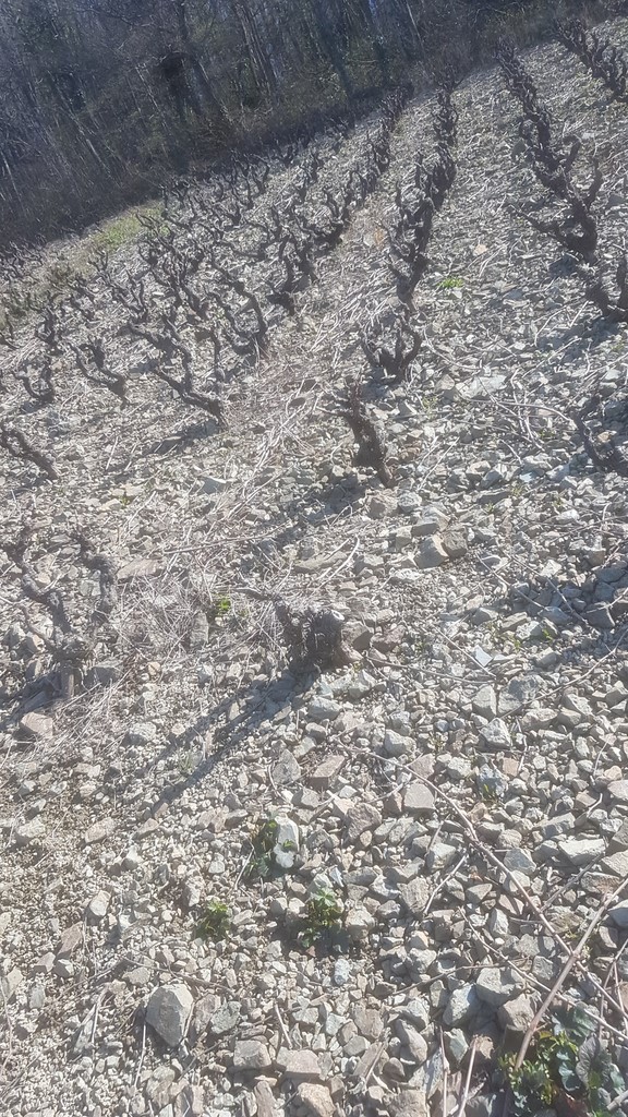 Domaine Les Cardinaux