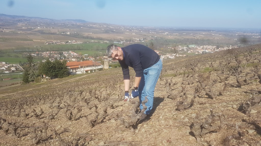 Domaine Les Cardinaux
