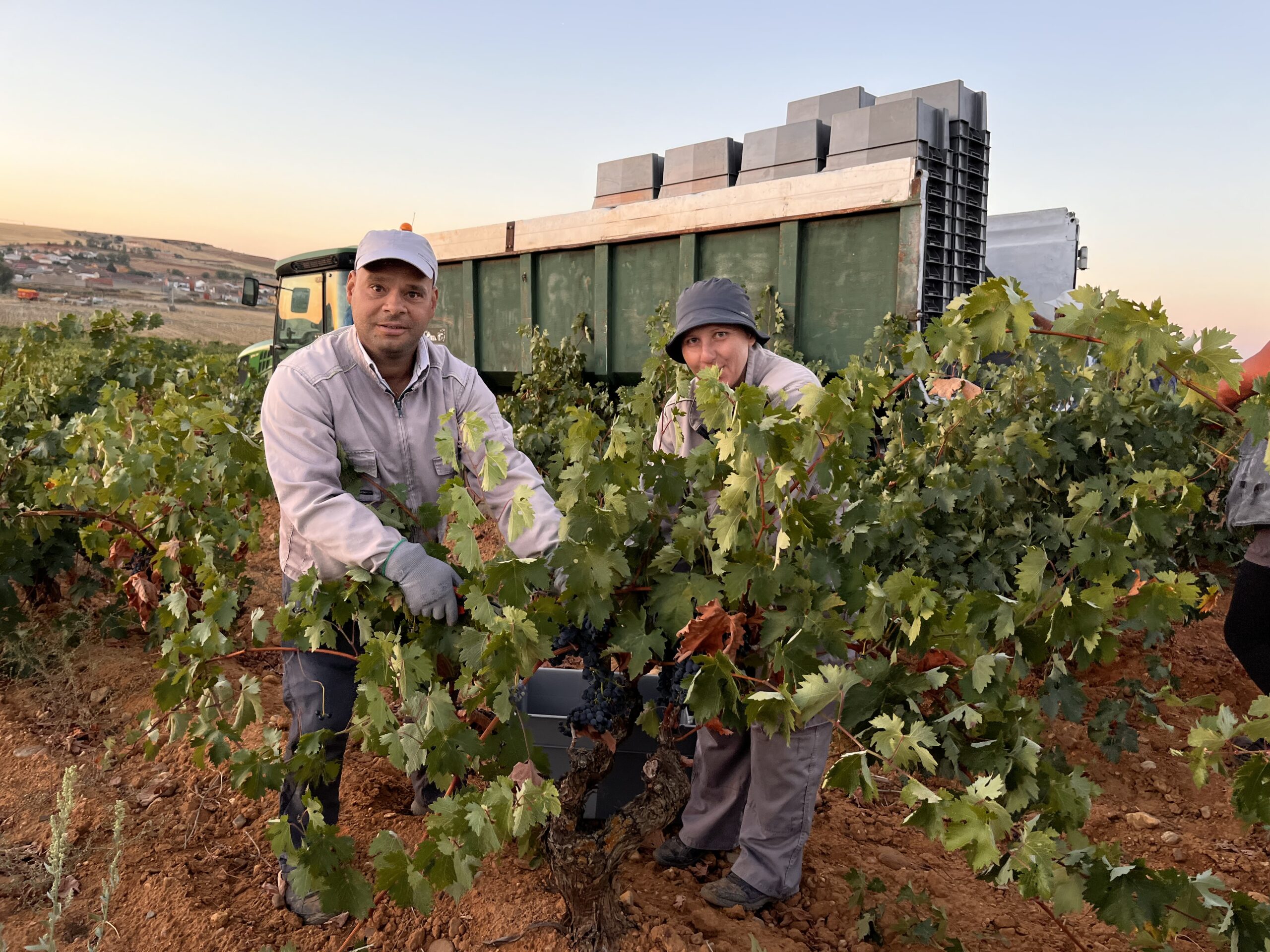 Bodega Mazas