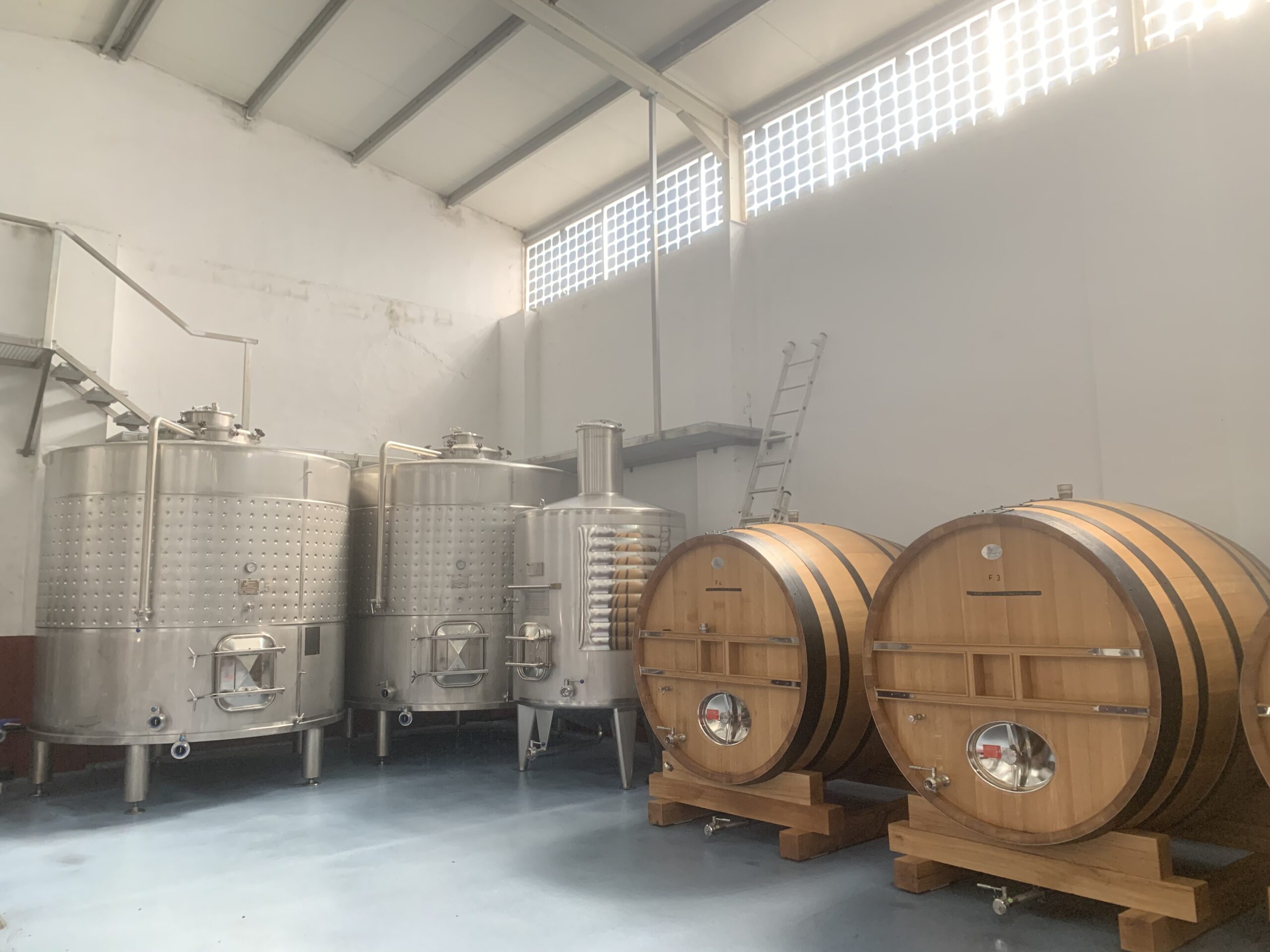 Bodega Mazas