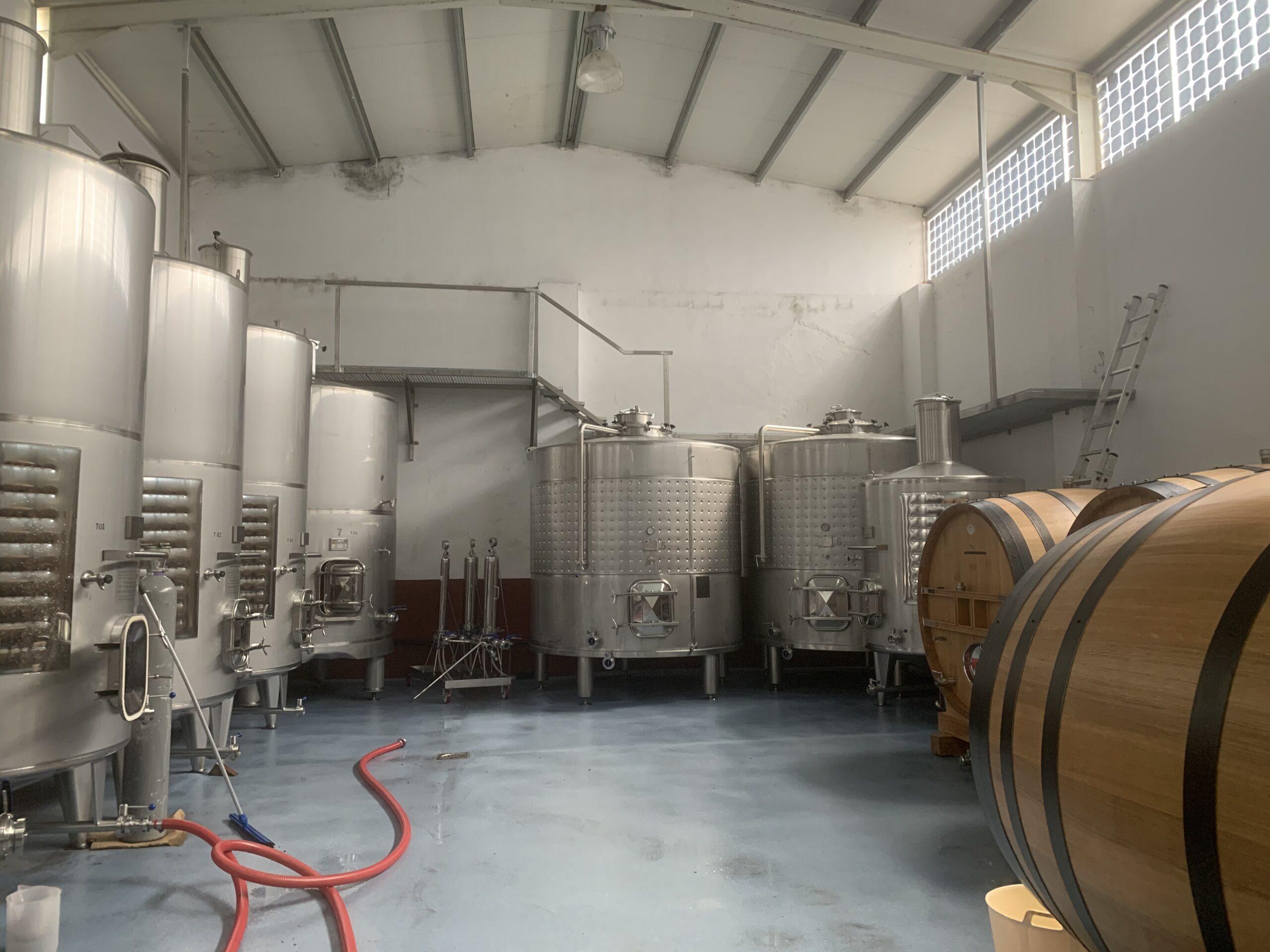Bodega Mazas