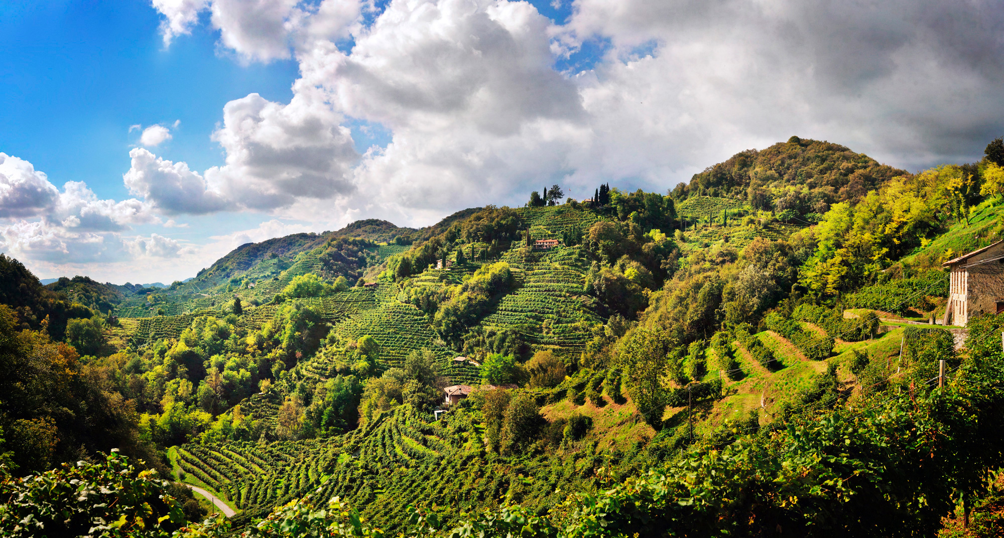 Clara C´ Prosecco