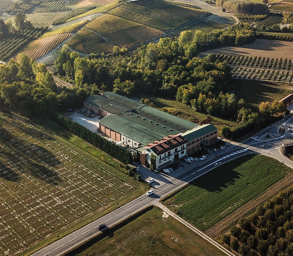 Cantina Damilano